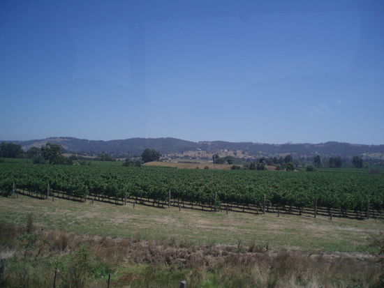 Fergusson Winery