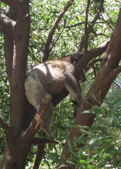 Ok, der hier nicht...