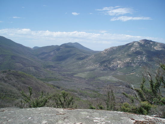 Fast am Gipfel angelangt!