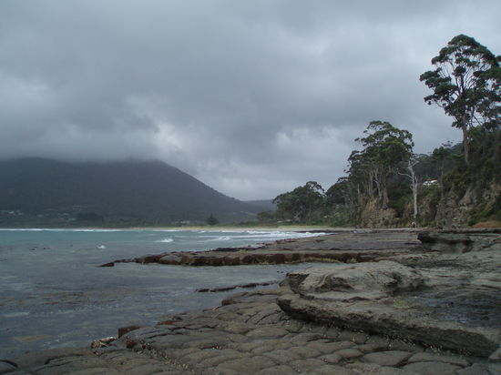 Pirates Bay im Tasman NP