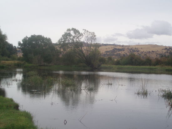 Ross liegt am Macquarie River