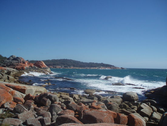 Die Bay of Fires heißt übrigens nicht wegen der roten Felsen so, auch wenn man das meinen könnte, sondern weil die britischen Entdecker von ihren Schiffen aus die Feuer der Aborigines sahen, die hier am Strand campten.