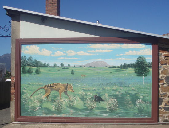Auf diesem Mural sieht man links einen Tasmanischen Tiger. Dieses wolfsartige Beuteltier wurde von den Europäern ausgerottet, der letzte starb 1936.