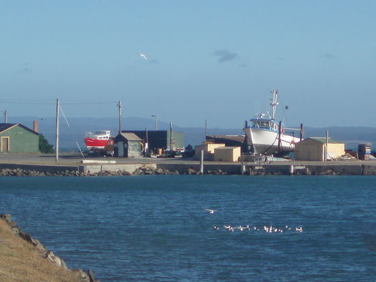 Am Hafen