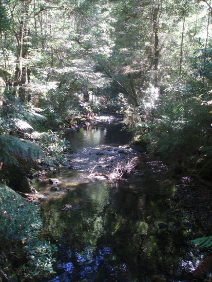 Wanderung am Julius River