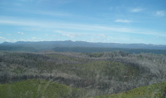 Fahrt Richtung Cradle Mountain - ins Herz Tasmaniens