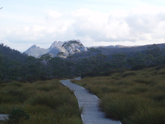 Wieder kommt der majestätische Cradle Mountain in Sicht