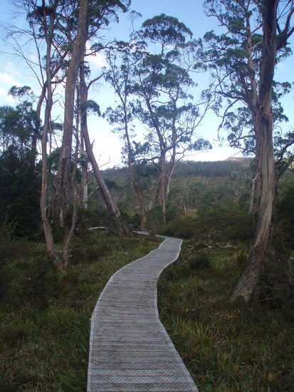 Auch hier bewegt man sich auf einem Bretterweg fort, um die Natur nicht zu zerstören
