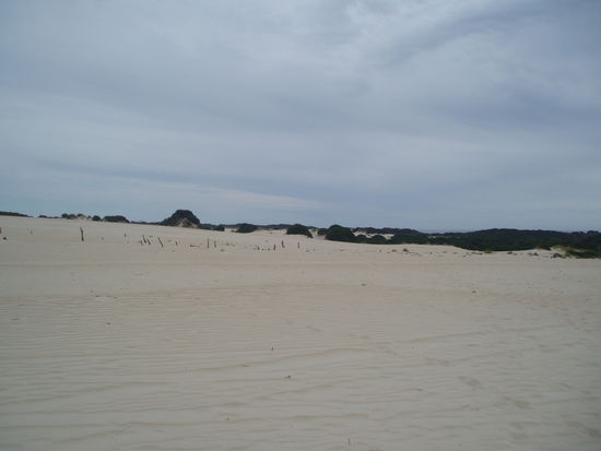 Henty Sand Dunes