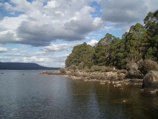 Lake St. Clair, von den tasmanischen Ureinwohnern Leeawuleena genannt