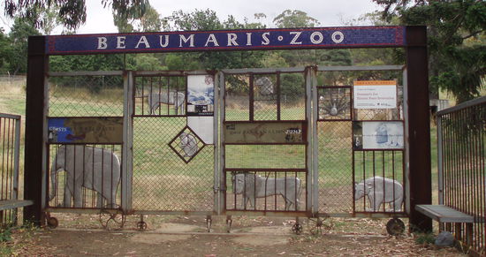 Im Beaumaris-Zoo, der 1937 geschlossen wurde, verstarb ein Jahr vor der Schließung der letzte Tasmanische Tiger, der seitdem als ausgestorben gilt.