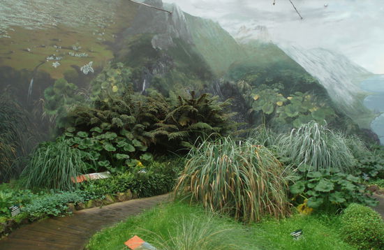 Hier gibt es das weltweit einzige subantarktische Pflanzenhaus. Es stellt die Bedingungen der Antarktis-Insel Macquarie Island dar - kalt und stürmisch! Faszinierend zu sehen, welche Pflanzen diesen Bedingungen trotzen.