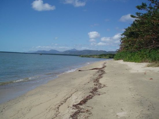 Cooya Beach