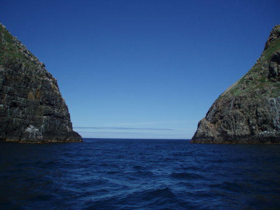 Nichts als 2000km Wasser zwischen unserem Boot und der Antarktis!