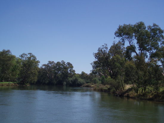 Am Murray River