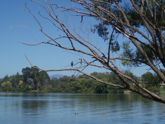 Der Weg zum Nationalmuseum führt am Lake Burley Griffin vorbei