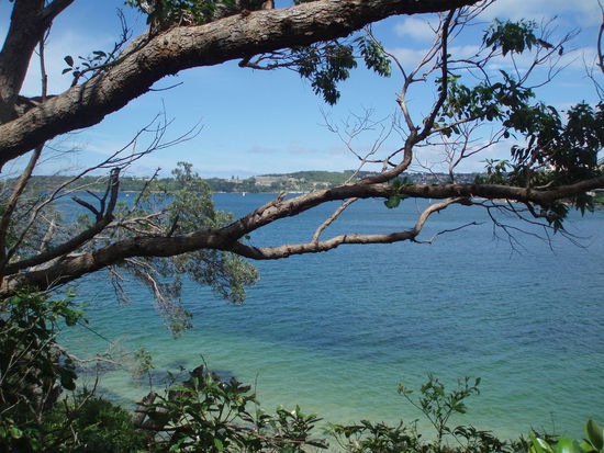 In der Bildmitte befindet sich eine Echse - die habe ich beim Fotografieren gar nicht gesehen und erst zuhause am Laptop entdeckt 