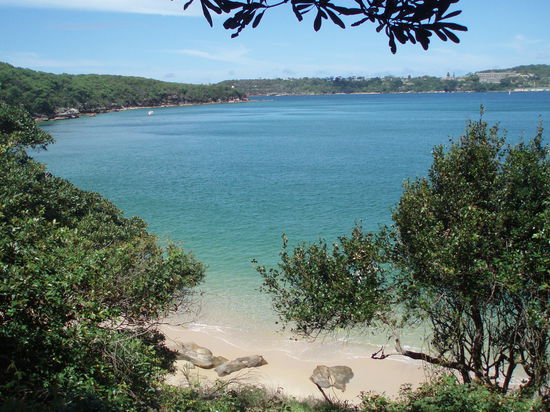 Castle Rock Beach, hier beginnt der Nationalpark