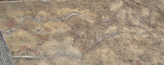 Diese Felsgravuren zeigen die enge Verbindung der Eona, der Aborigines der Gegend, zum Meer