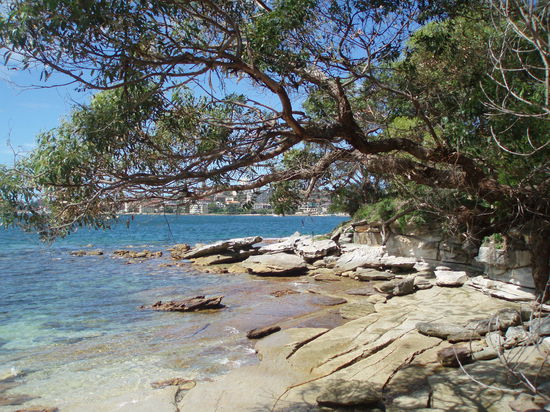 Bevor man in Manly ankommt, reihen sich einige kleine Strände aneinander, z.B. der Forty Baskets Beach...