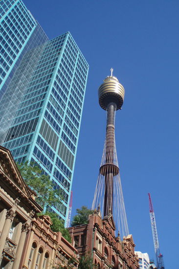 Sydney Tower