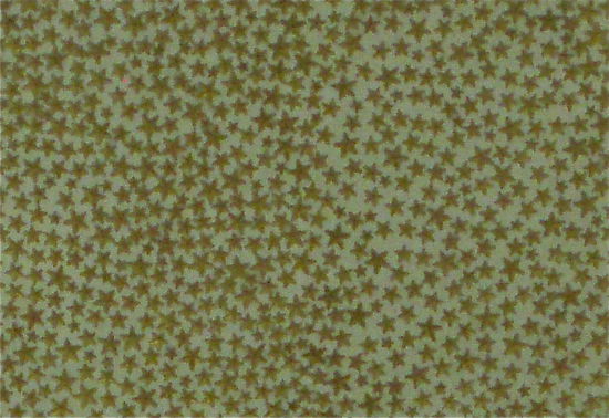 Die Kuppel des Denkmals ist von 120.000 goldenen Sternen übersät. Jeder Stern steht für einen Bürger aus New South Wales, der im ersten Weltkrieg gefallen ist oder verwundet wurde.