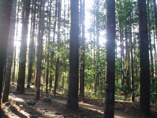 Smithfield Conservation Park
