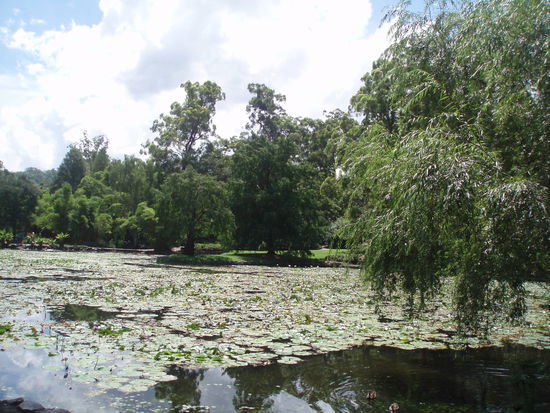 Der japanische Garten
