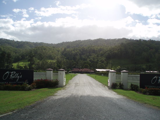 Das Weingut