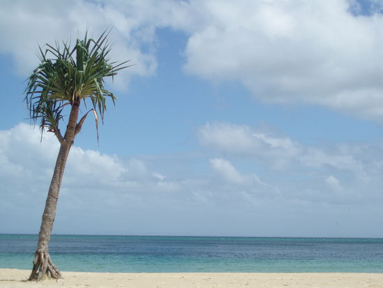 Ab und zu kam doch die Sonne raus!