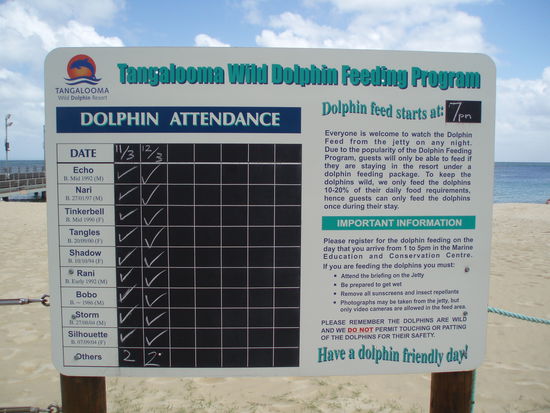 Auf dieser Tafel am Strand wird verzeichnet, welche Delfine wann genau auftauchen
