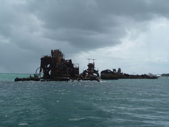 Die Tangalooma Wrecks - diese alten Schiffswracks wurden nicht, wie z.B. auf Fraser Island, hier angespült, sondern extra hergebracht, um als Wellenbrecher zu fungieren und Besuchern und Tieren der Bucht mehr Schutz zu bieten