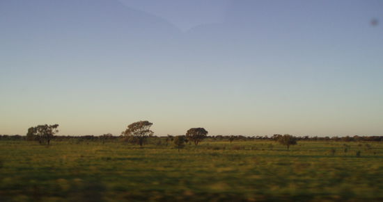 Auf der Fahrt - durch die vielen Regenfälle ist das Outback ungewöhnlich grün