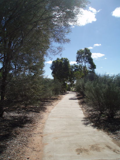 Auf dem Weg von der Stadt zum Stockmen Museum haben die Einwohner von Longreach einen botanischen Lehrpfad eingerichtet
