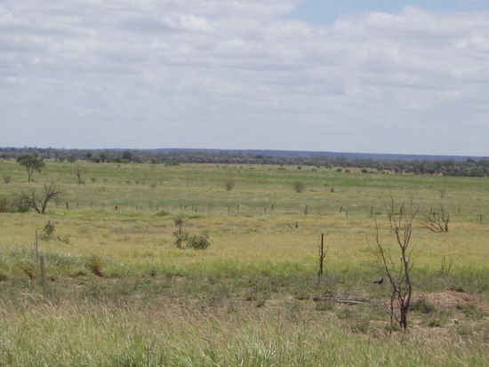 Umgebung des Roadhouses im März 2010...