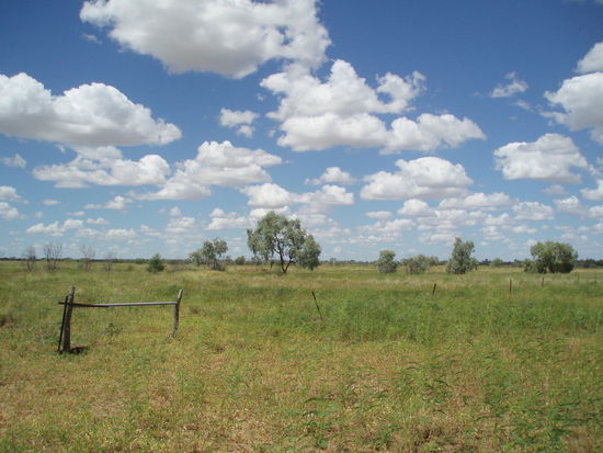 Am Ende der Hauptstraße beginnt direkt das Outback - durch den Regen ist es so grün, dass man es kaum wieder erkennt 
