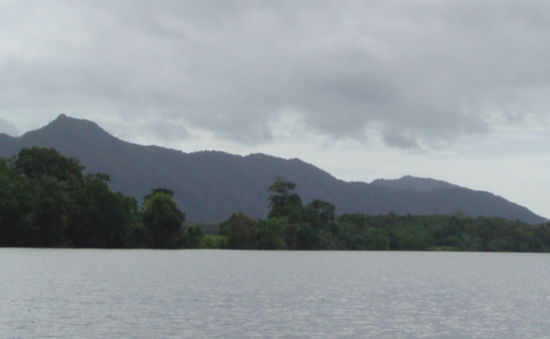 Fahrt auf dem Daintree River