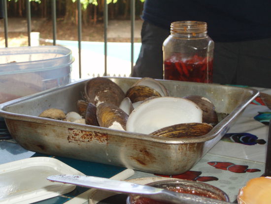 Abendessen auf der Veranda