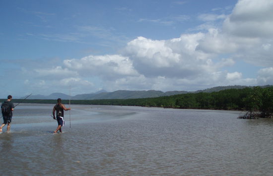 Auf der Suche nach Krabben