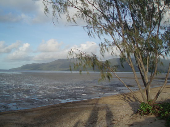 Letzte Aufnahmen in Cairns...