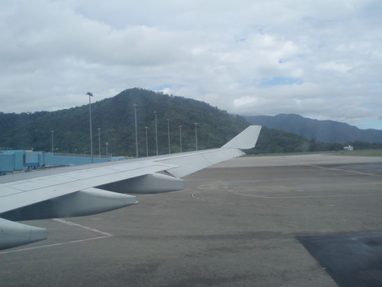 Abflug in Cairns - ein letzter Blick auf den Regenwald