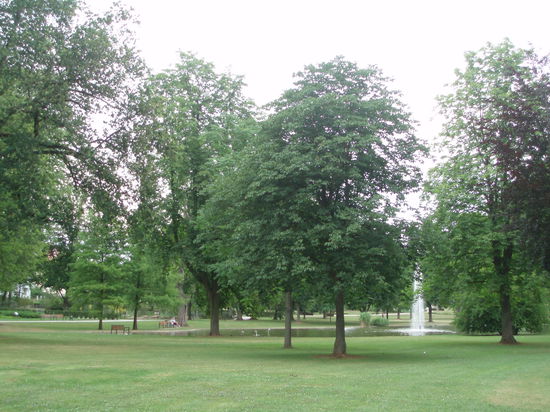 Im Jahr 2008 wurde der Park zum zweitschönsten Park Deutschland gewählt