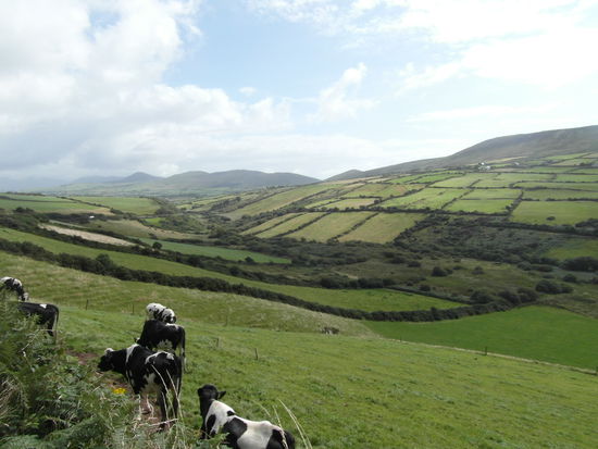 Nächster Stop: Minard Valley