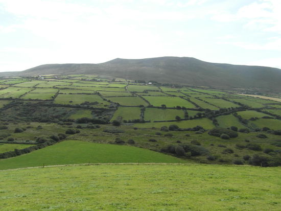 Die Grüne Insel? Ja!!!