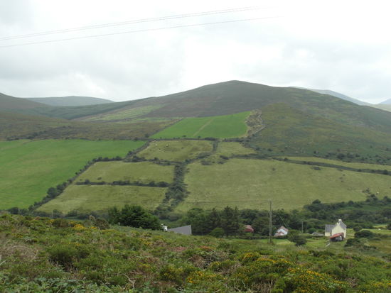 Ein letzter Stop in der Nähe von Tralee