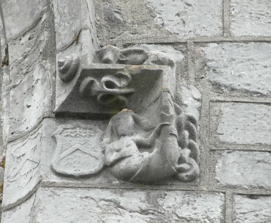 Eine Meerjungfrau...