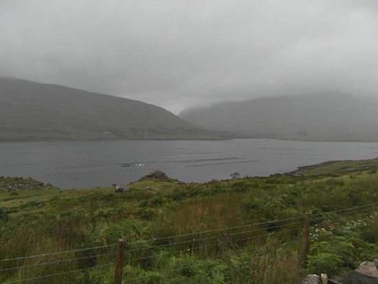 Stop am Killary Harbour
