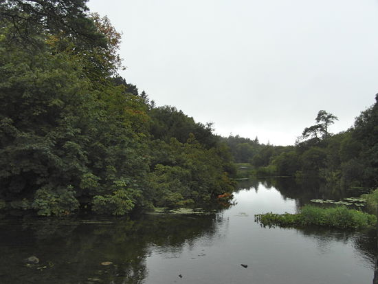 Spaziergang am Wasser