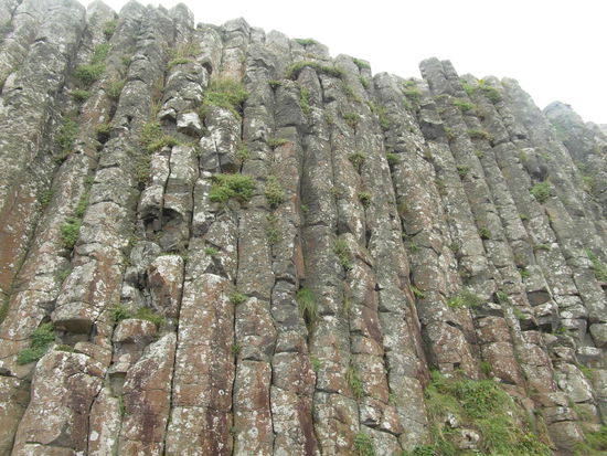 An Land gibt es auch einige Säulen, die meterhoch hinausragen - wie Orgelpfeifen, daher werden sie Organ's Pipes genannt.