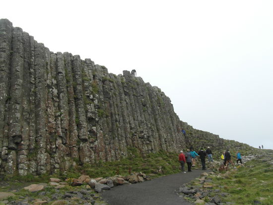 Noch mehr Orgelpfeifen...